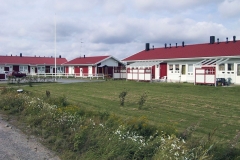 paavonkuja1