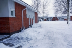 paavonkuja2